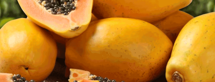 Manfaat Buah Pepaya untuk Kesehatan